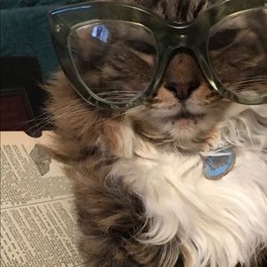 Meet your Posher, Meredith aka TheSpectFeline!